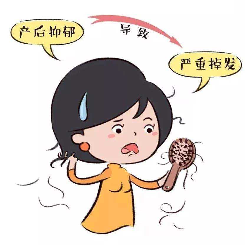 脂溢性脱发该怎么护理